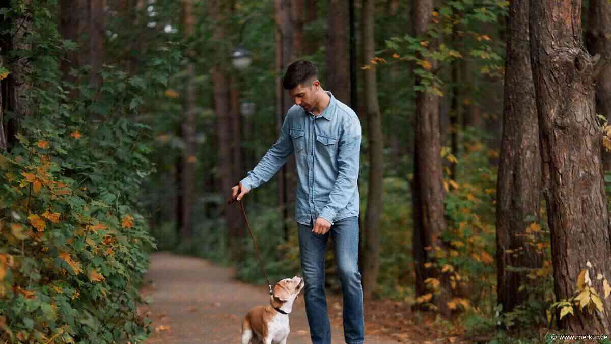 Was Mensch und Hund seit 30.000 Jahren weltweit verbindet