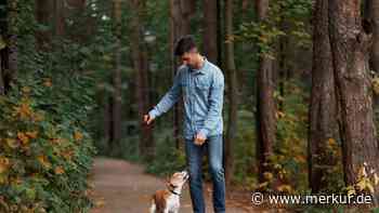 Was Mensch und Hund seit 30.000 Jahren weltweit verbindet