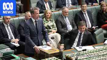 Live: Opposition MP kicked out of chamber for swearing