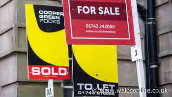 Average price tag of house on the market drops by £7,360