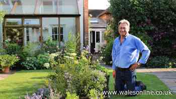 Alan Titchmarsh's vital August advice to avoid neglecting your garden
