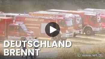 Waldbrand-Überblick: Einsatzkräfte kämpfen in fünf Bundesländern gegen die Flammen