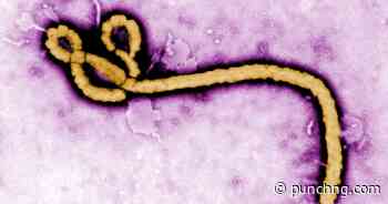 DR Congo Ebola outbreak becomes deadliest with over 2,300 deaths