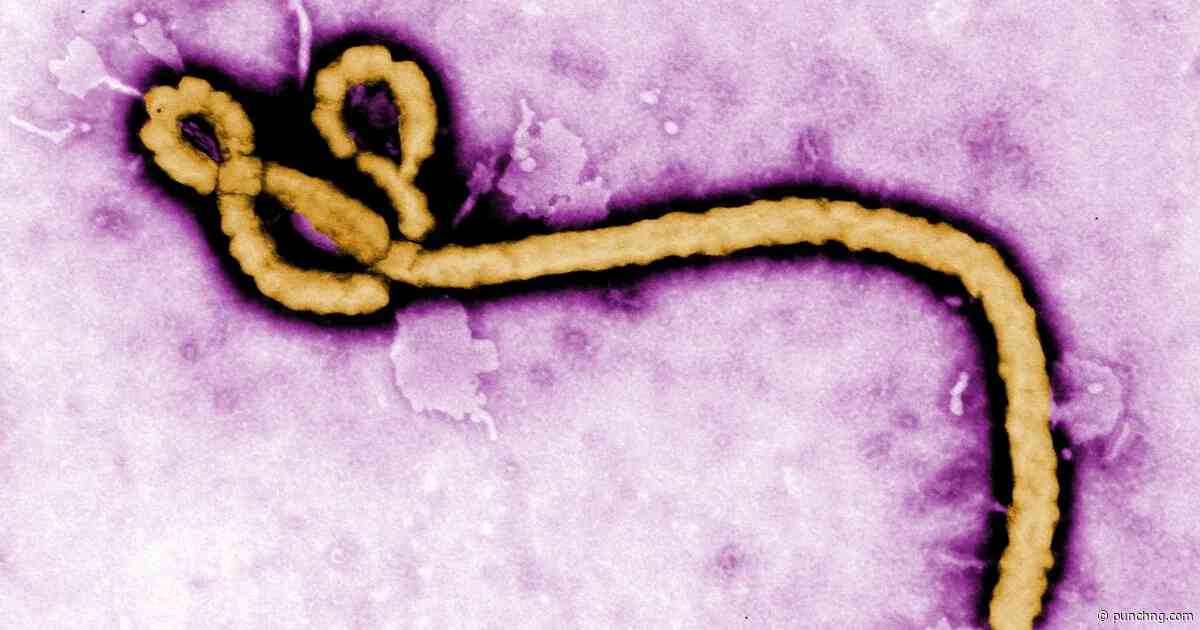 DR Congo Ebola outbreak becomes deadliest with over 2,300 deaths