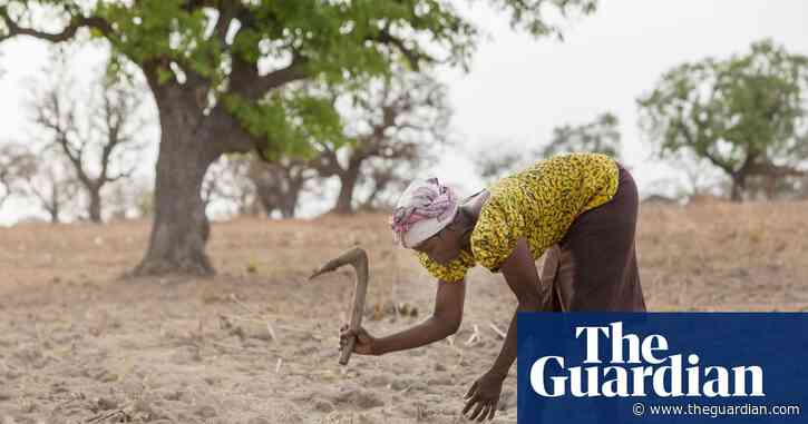 Spotlight on UN desertification summit as it mulls how to spend $12bn war chest