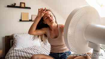 UK heatwaves see Brits making key purchases to battle scorching weather as certain industries thrive