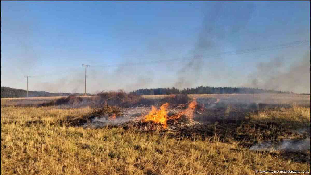 Landwirt entzündet Wiedfeuer – Flammen breiten sich auf 250 Quadratmeter aus
