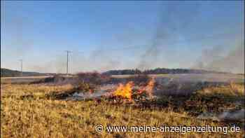 Landwirt entzündet Wiedfeuer – Flammen breiten sich auf 250 Quadratmeter aus