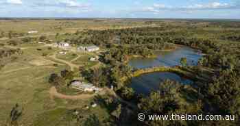 Quality central west cattle and sheep breeding property sold | Video