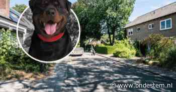 Nieuwe buren brengen twee rottweilers met zich mee die de boel op stelten zetten: ‘Hij geeft er geen fuck om’