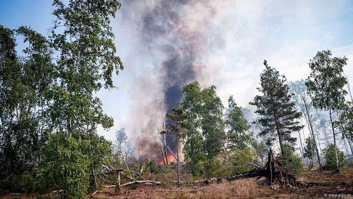 Feuer in Deutschland : Wenn der Wald brennt: die wichtigsten Verhaltensregeln