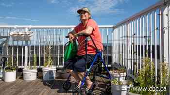 Thunder Bay, Ont., health unit takes owner of seniors' apartment to court