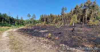 Waldbrand bei Oberhaid gelöscht: Acht Einsatzkräfte medizinisch versorgt