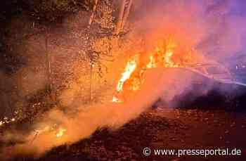 FW-EN: PKW-Brand greift auf Waldfläche über