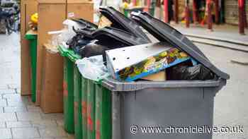 Waste expert says common leftover is 'last thing' you should throw in bin