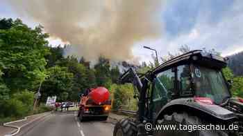 Waldbrände halten Feuerwehren im Hohen Venn und im Schwarzwald in Atem