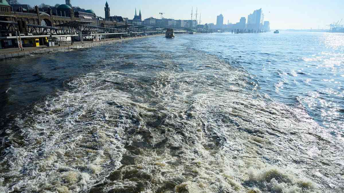 Ballastwasser abgelassen – Wasserschutzpolizei erwischt drei Schiffe im Hafen