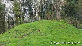 Long-lost battlefield where the Anglo Saxons DESTROYED a Viking army is discovered in Devon - including the burial mound of notorious Northman Ubbe Ragnarsson