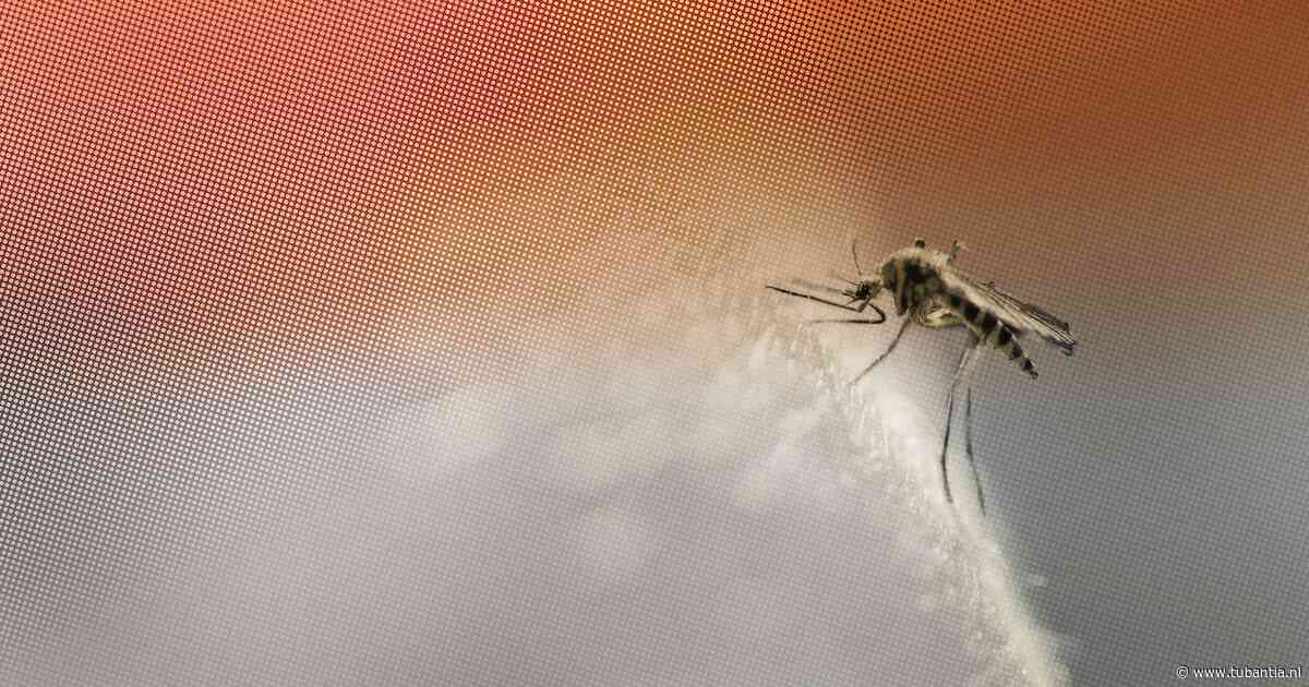 Persoon in Nederland besmet met westnijlvirus, eerste besmetting sinds 2020