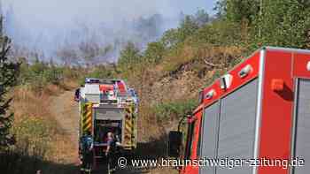 Waldbrand im Harz ist gelöscht, hinterlässt aber hohen Schaden