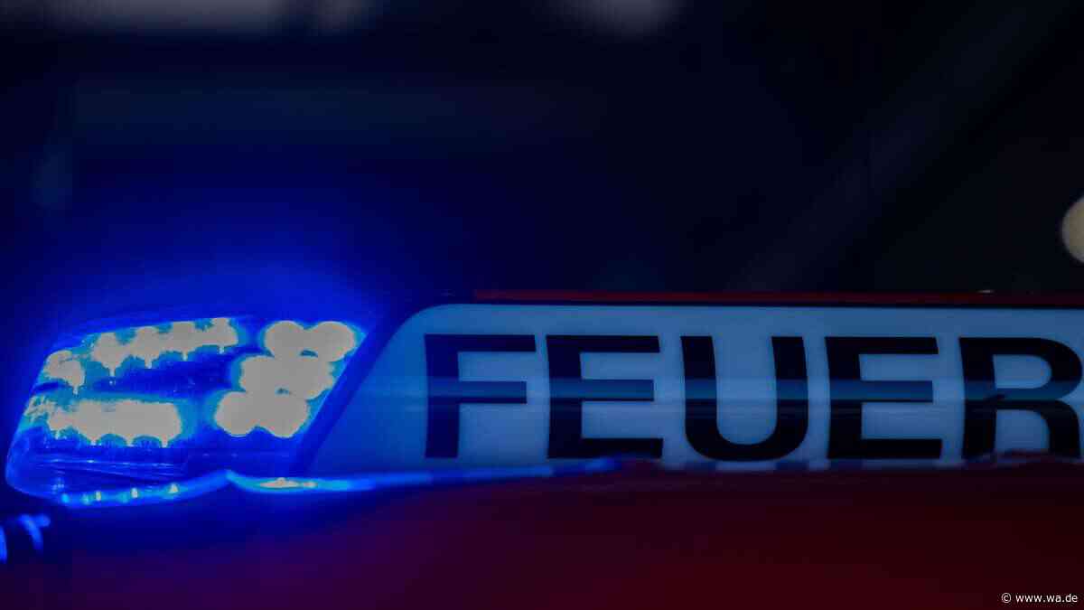 Grünfläche brennt dreimal in vier Tagen – Polizei sucht Zeugen