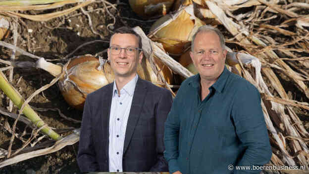 Uien zijn klaar, meer water moet grond zachter maken