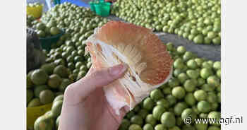 Hogere kosten stuwen exportprijzen van Thaise gele pomelo's