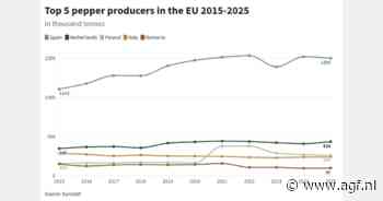 Paprika's: Spaanse groei getrokken door kasteelt, forse Poolse opmars