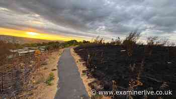 Aftermath of devastating Sheffield wildfire as blaze damages city centre parks