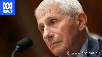 Fauci could face prison if convicted of contempt, former prosecutor says