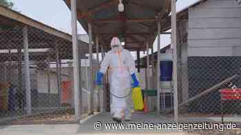 Ebola-Ausbruch ist tödlichster in der Geschichte des Kongo