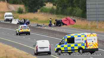 Five teenagers dead after car crash on wrong side of motorway