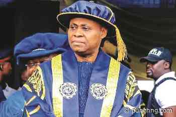 VIDEO: I had no doubt Adeleke would win, says brother Dr. Deji