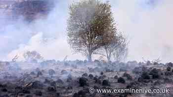 Three teenagers arrested on suspicion of arson over Treherbert wildfire