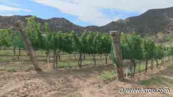 Crushing season begins for wineries across the state