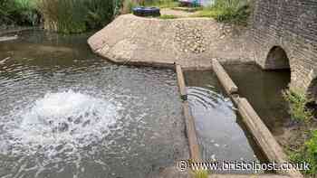 Legal action taken against Wessex Water over Bristol nature reserve sewage incident