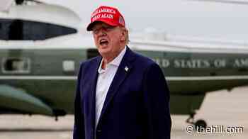 Trump: Vandals to blame for damaged grass at July 4 celebration site