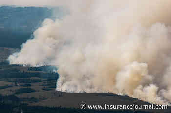 Belgian Firefighters Battle Record Blaze Near German Border