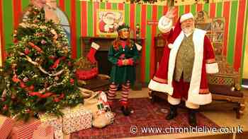 Newcastle Christmas Village opens bookings for Santa visits and cosy festive films with free popcorn