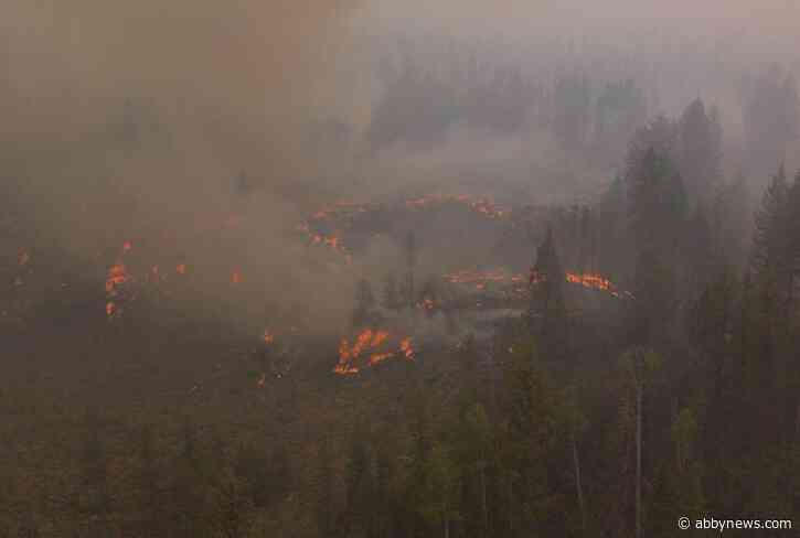Around 500 personnel continues to battle Bald Range wildfire in Summerland