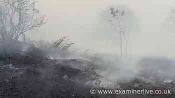 Young boys, age 12 and 13, arrested on suspicion of arson after blaze tears through three acres