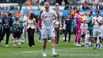 Hull City's 'pathetic' offer for Swansea City striker Zan Vipotnik