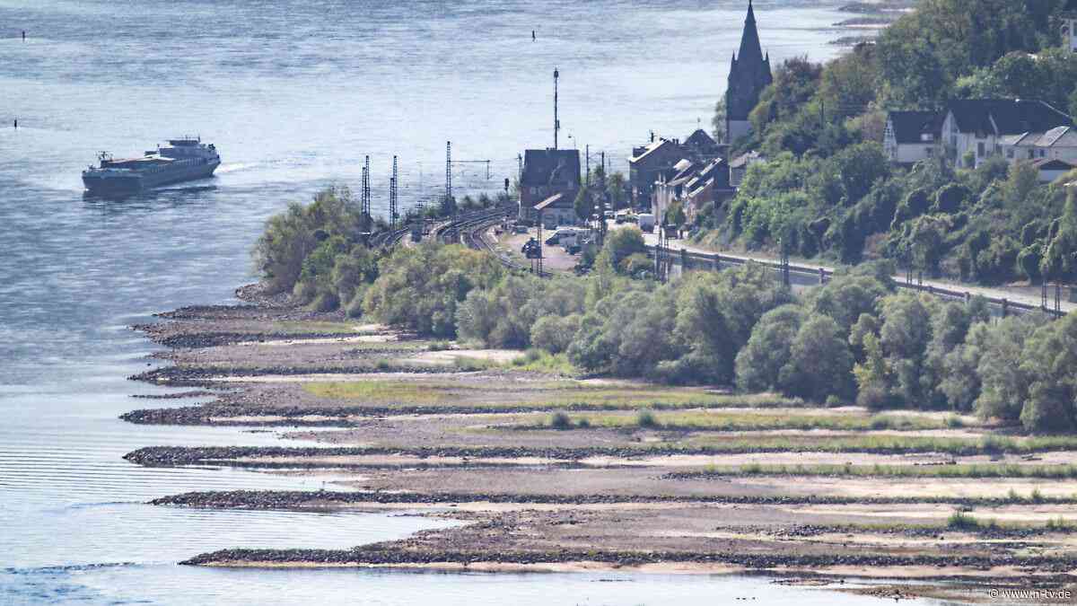 "Weil ich am Grund festsauge": Wie ein Binnenschiffer dem Niedrigwasser trotzt