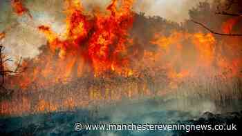 No 10 defends 'entirely right' use of emergency alerts system after millions sent wildfire warning