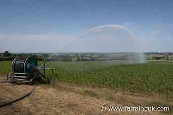 Drought pressure fuels calls to ease farm water rules