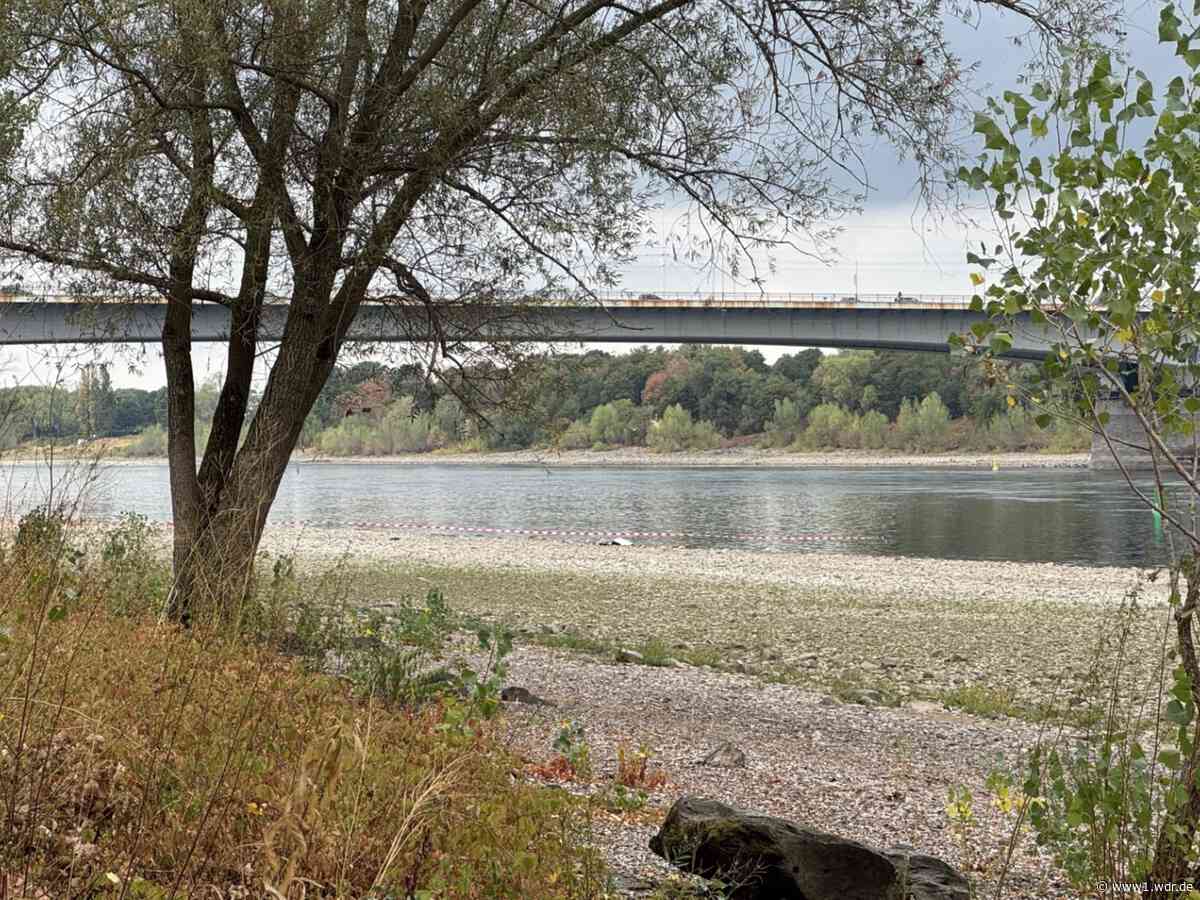 Fliegerbombe am Rhein in Bonn muss gesprengt werden