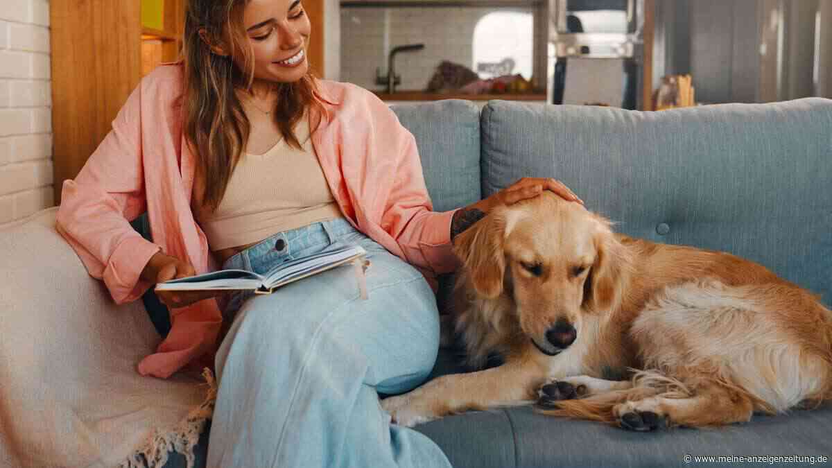 Diese stillen Zeichen zeigen, wie eng Ihnen Ihr Hund verbunden ist