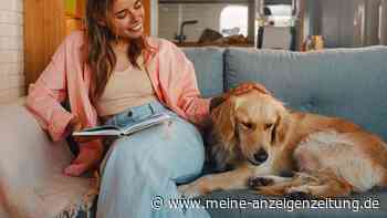 Diese stillen Zeichen zeigen, wie eng Ihnen Ihr Hund verbunden ist