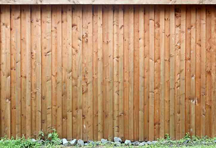 Which Fence Panels Are Most Popular? What 50,000+ Panel Sales Tell Us About 2026 (So Far)