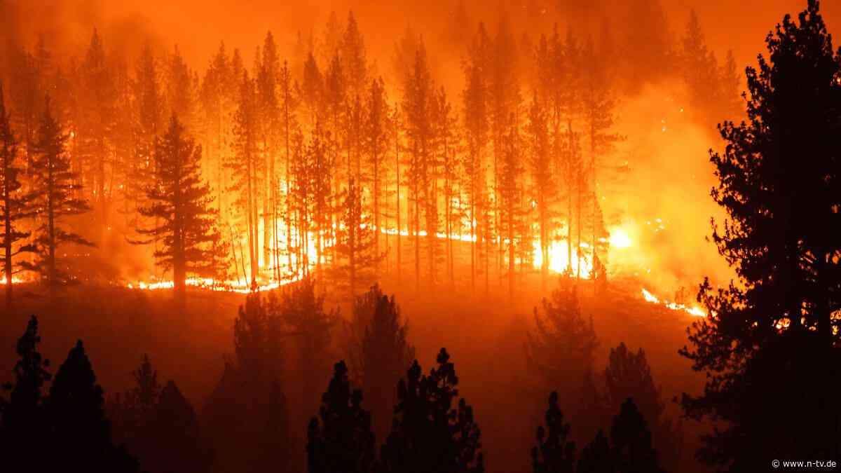 Feuer durch Glas, Kippen, Autos?: Das ist an den Waldbrandmythen dran